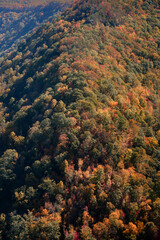 Obraz premium autumn colors in the mountains