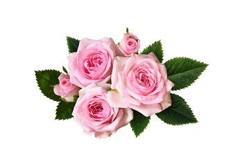 Pink rose flowers with green leaves in a floral arrangement isolated on white or transparent background - obrazy, fototapety, plakaty