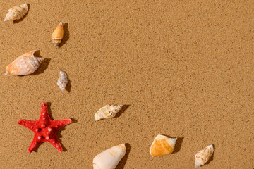 Fototapeta na wymiar Red star, seashells on the sand. Place for text.