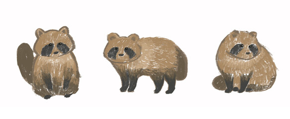 Raccoon colored pencil Illustration, Animal Illustration