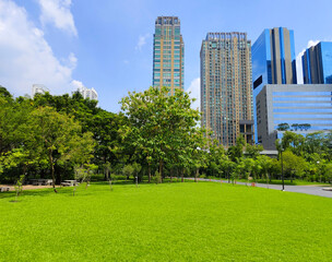 Obraz premium Lawn in the park. Behind view are trees and condo buildings.