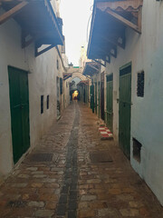 Street in Medina between green wooden doors