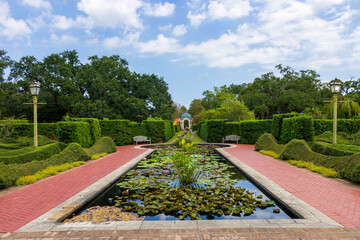 a gorgeous summer landscape at New Orleans Botanical Garden with a pond covered in lily pads and...