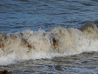 Wellen und Brandung Meer