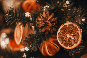 Creative interesting Christmas tree decorated with dry oranges,