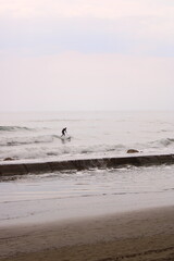 Fototapeta na wymiar Surfing