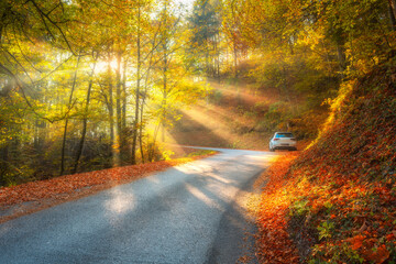 Road in orange forest in fog and sunbeams at sunrise in golden autumn. Dolomites, Italy. Beautiful mountain roadway, tress, sun rays, red and yellow leaves. Empty road through the woods in fall