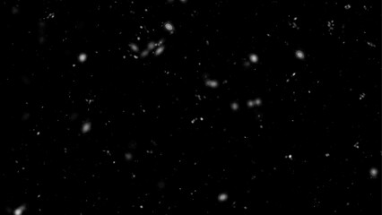Falling snow isolated on black background. Falling snow at night. Bokeh lights on black background, flying snowflakes in the air. Winter weather. Overlay texture.