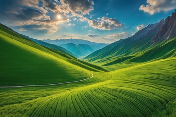 Obraz premium field and blue sky