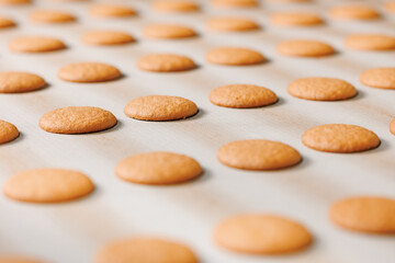 Food industry factory, biscuit production on conveyor belt. Modern line for bakery cookies