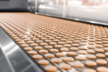 Food industry factory, biscuit production on conveyor belt. Modern line for bakery cookies