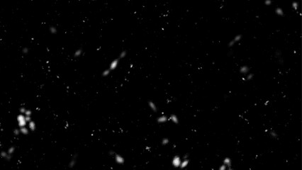 Falling snowfalls and flying dust particles on a black background. Abstract winter background