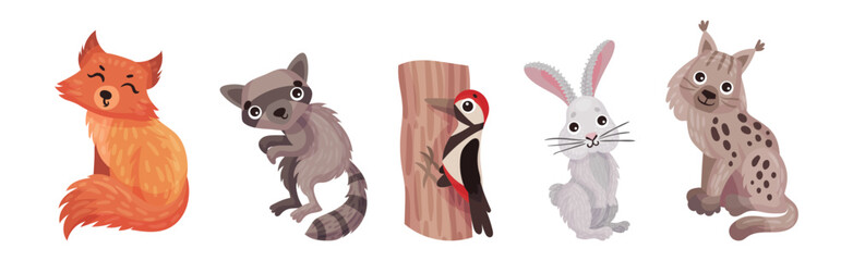Forest Animals with Fox, Raccoon, Woodpecker, Bunny and Lynx Vector Set