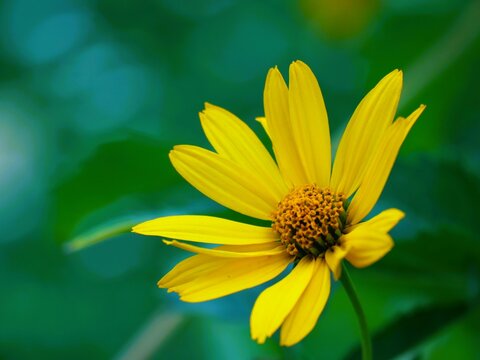 Summerfeeling