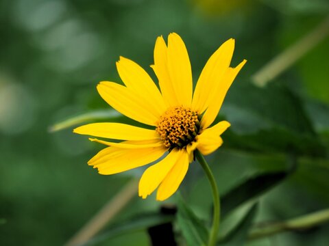 Summerfeeling