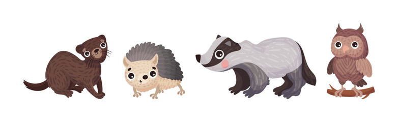 Forest Animals with Weasel, Hedgehog, Badger and Owl Vector Set