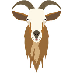 portrait of a goat