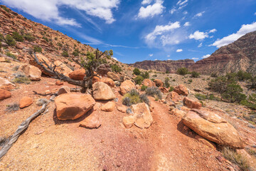 hiking the tanner trail in grand canyon national park, arizona, usa