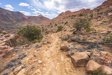 hiking the tanner trail in grand canyon national park, arizona, usa