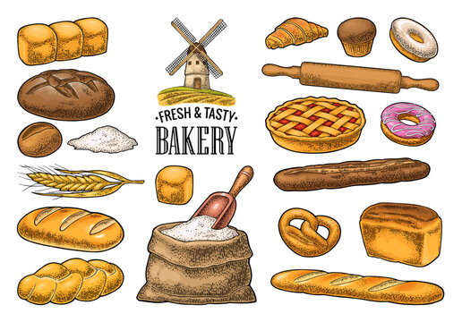 Set bread. Mill on wheat field. Vector vintage engraving