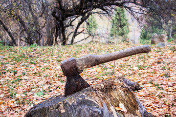 stick the axe into the stump