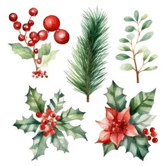 Keuken spatwand met foto Christmas watercolor hand drawn illustration. Decoration elements for the Christmas holiday © Nikolai