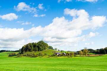 Fototapeta na wymiar farm and pastures, green fields and hill with trees