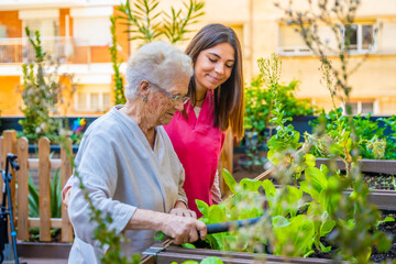 Nurse and elder woman cultivating plants in a garden