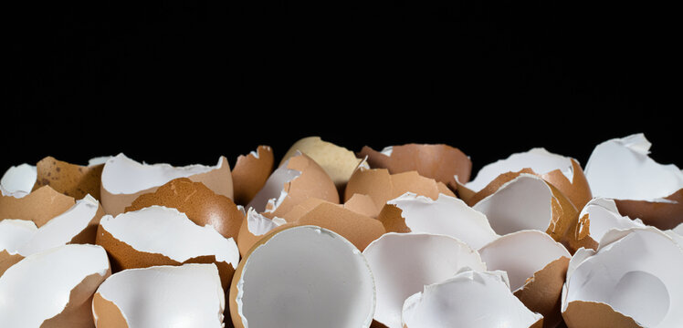 Close up of eggshells and dark background.