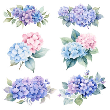 Beautiful bouquets with blue and purple hydrangea flowers watercolor paint on white background set