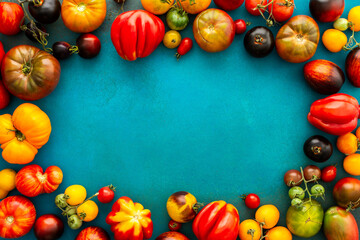 Multi-colored bright ripe tomatoes on an emerald green background, different types of tomatoes, summer harvest from the garden, top view
