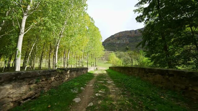 I walk over a stone bridge that crosses the river in the tall tree forest, Segovia.