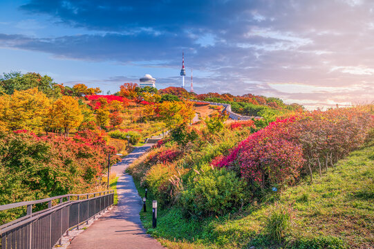 beautiful season
Seoul city landmark view point South Korea The best view point in Namsan Park during the changing leaves and beautiful clouds is Seoul Tower.