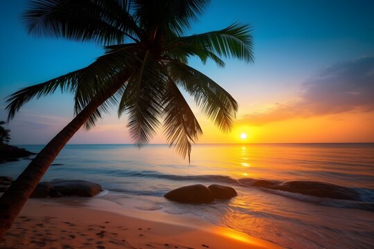 Amazing tropical sunset background