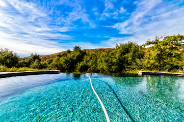infinity pool with trees