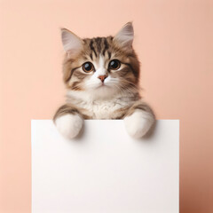 a cute tabby cat holding with blank white board on pastel background. ai generative