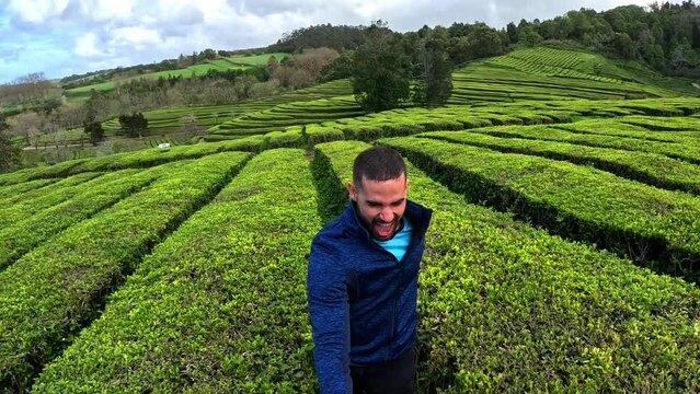Running in the middle of the green tea plantation Gorreana in the Island of Sao Miguel, Azores, Portugal, in slow motion