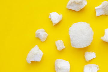 Fresh lion's mane mushroom on yellow background. (Yamabushitake Mushroom)