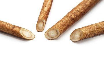 Burdock Root (Gobo) on white background.