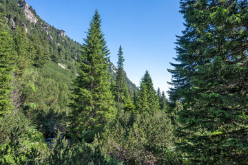 Summer landscape of Rila Mountain, Bulgaria