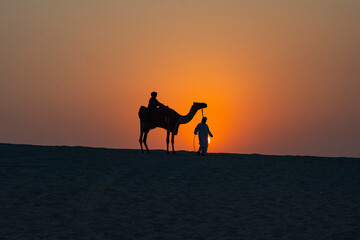Camel Caravan at Sunset Time in the Doha Desert Photo, Doha Qatar