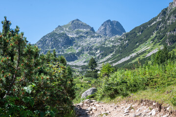 Fototapeta na wymiar Summer landscape of Rila Mountain, Bulgaria