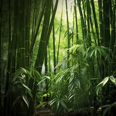 Fondo natural con detalle de troncos y hojas de bambu verde con luz natural
