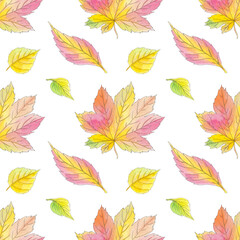 Watercolor maple, birch leaves autumn seamless pattern with isolated. Beautiful colorful botanical illustration. Art for design card, textile, wedding invitation, paper, wallpaper.