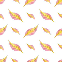 Watercolor leaves autumn seamless pattern with isolated. Beautiful colorful botanical illustration. Art for design card, textile, wedding invitation, paper, wallpaper.