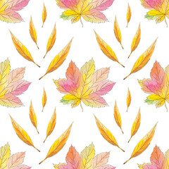 Watercolor maple, willow leaves autumn seamless pattern with isolated. Beautiful colorful botanical illustration. Art for design card, textile, wedding invitation, paper, wallpaper
