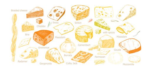Watercolor different kinds cheeses with cutted pieces, milk dairy product. Delicious food hand-drawn illustration isolated on white background. Perfect for menu, recipe, label, packaging design