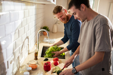 Young same sex male couple cutting fresh vegetables in modern kitchen - obrazy, fototapety, plakaty