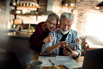 Loving senior couple paying bills online at home