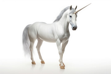 Obraz na płótnie Canvas fantasy unicorn isolated on white background